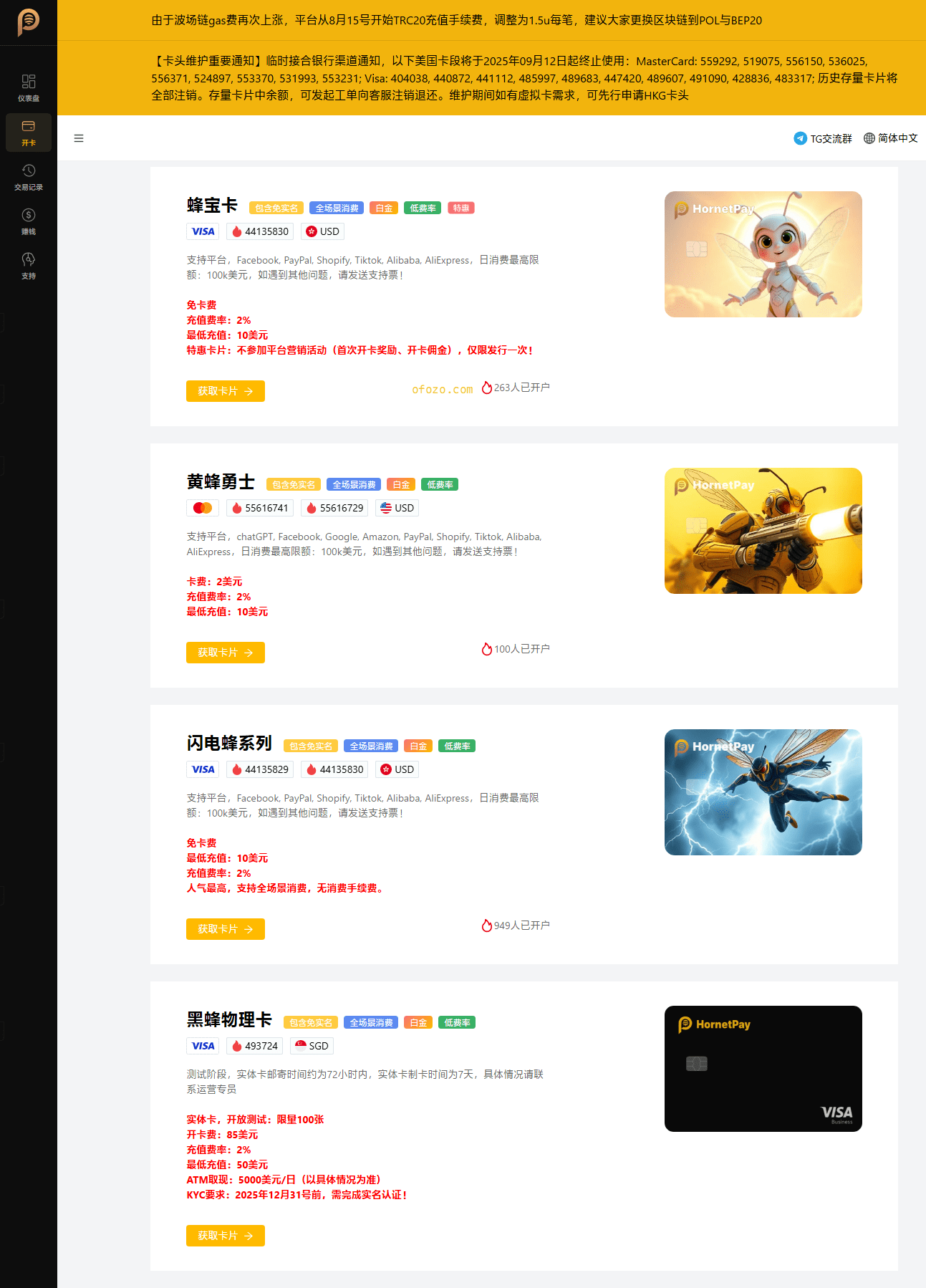 HornetPay免实名虚拟卡 支持OpenAI/Claude - 第2张图片